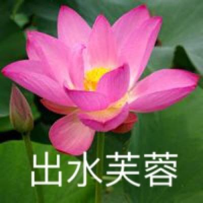 王国纪元手游下载4399版